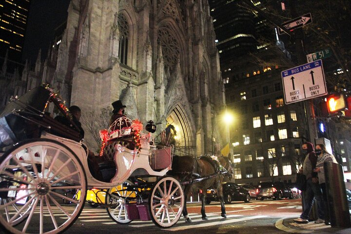 Magical Evening Horse-Drawn Carriage through NYC (55 min) - Photo 1 of 15